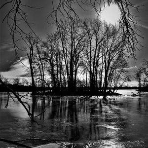 Meet your Posher, Maude